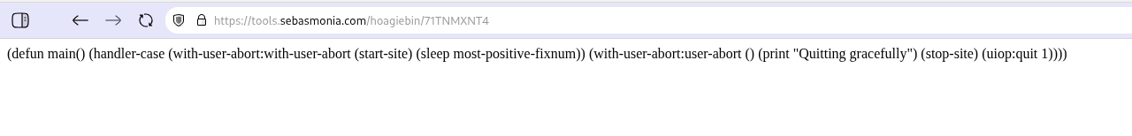 A screenshot of unformatted text in a browser window.